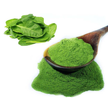 Wholesales Factory Price Organic Spinach Juice Powder